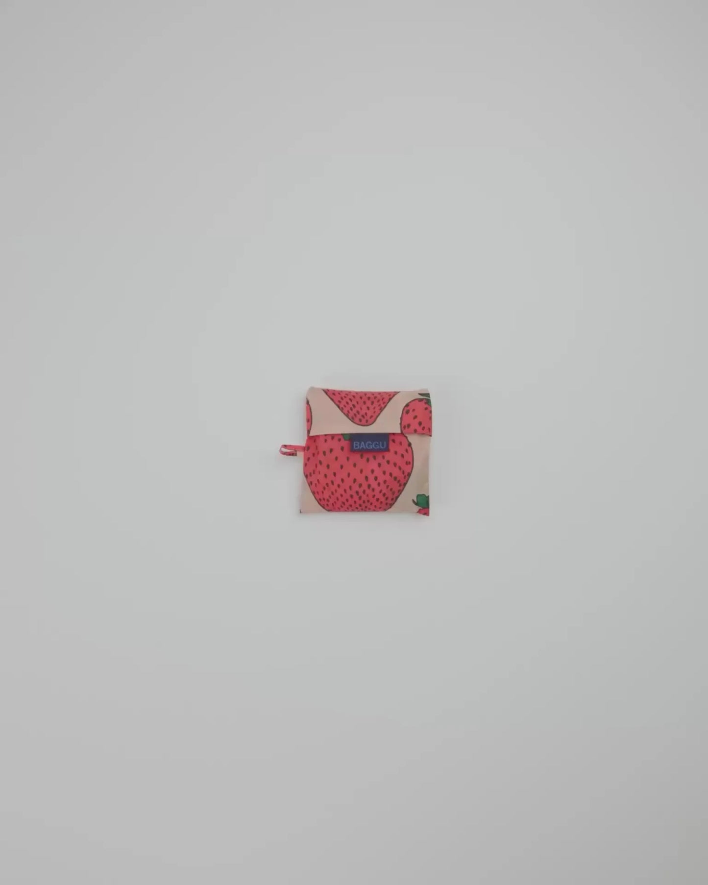STANDARD BAGGU - US 4705